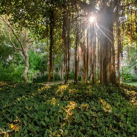 Ali Bey Sorgun 시데