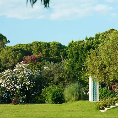 Ali Bey Sorgun 리조트 시데