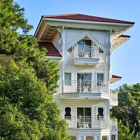 Ali Bey Sorgun سيدي