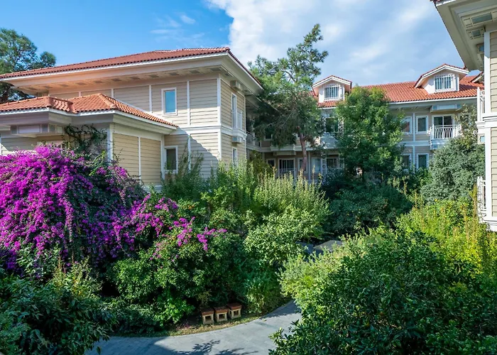 Ali Bey Sorgun Σιντέ