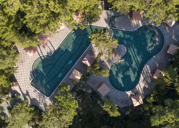 度假村 阿丽贝索尔根度假酒店 锡德