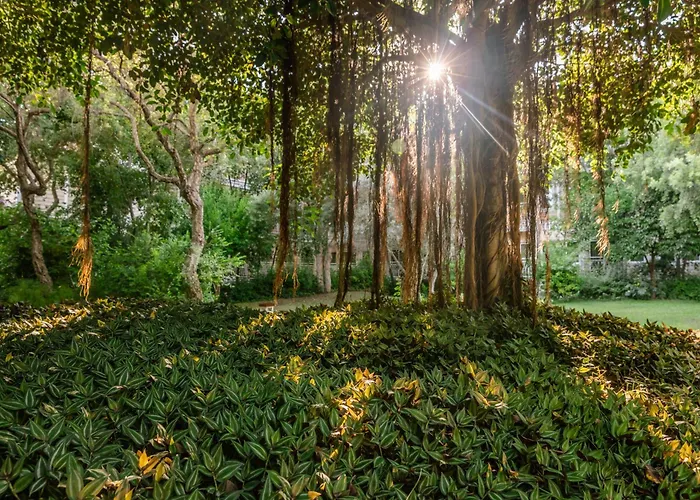 Ali Bey Sorgun 시데