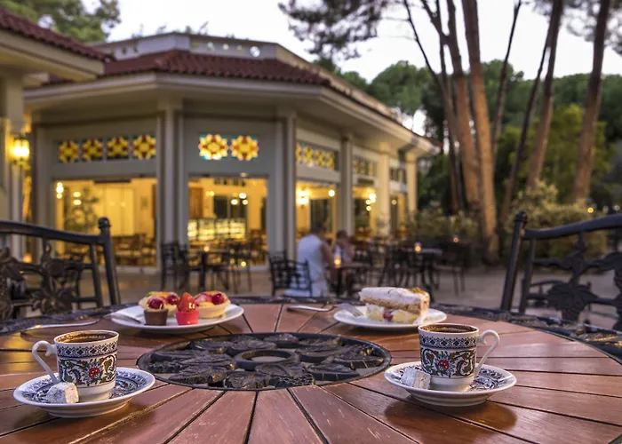 Ali Bey Sorgun 시데